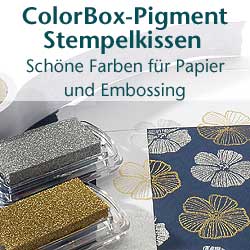 ColorBox Pigment Stempelkissen