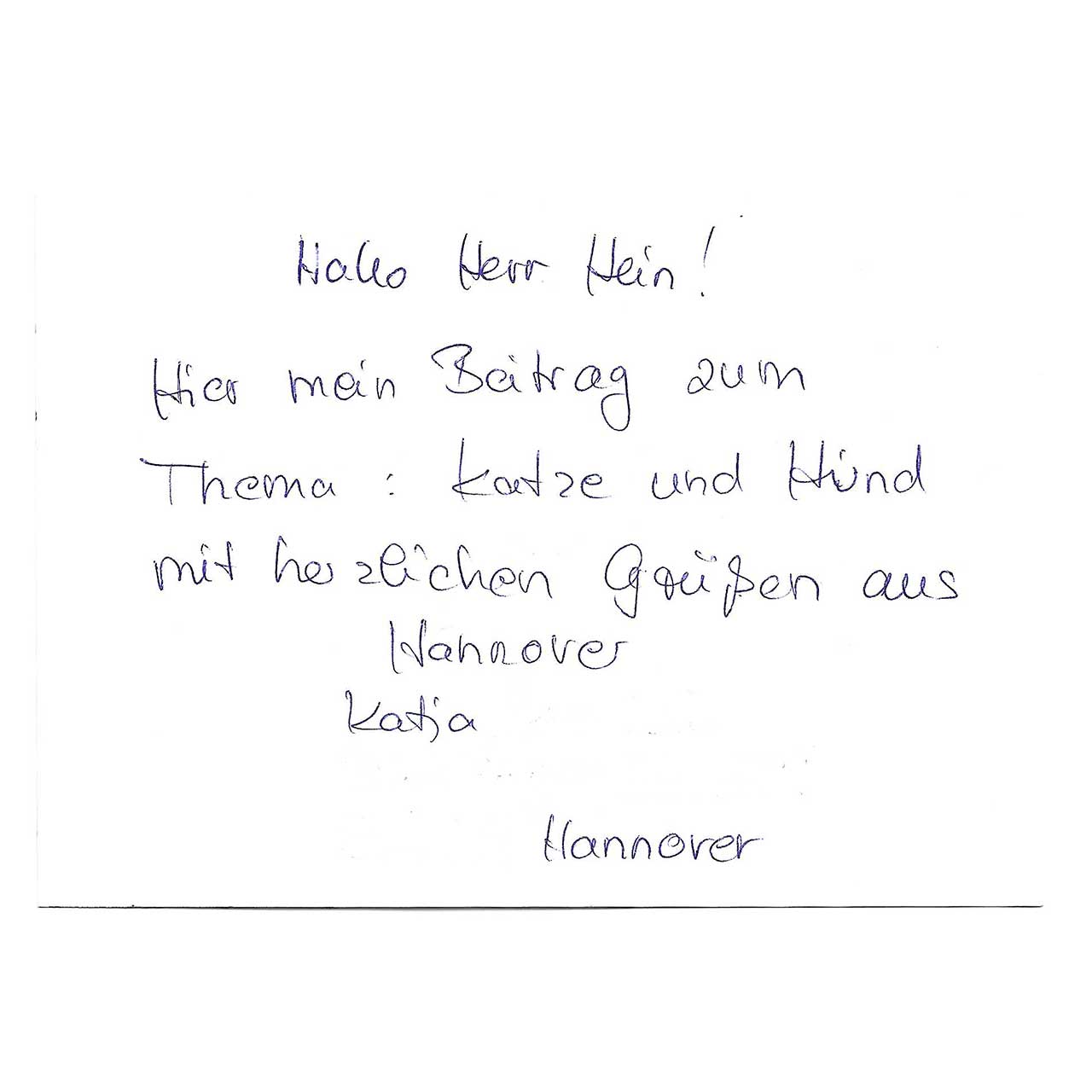Hund & Katze gestaltet von Katja aus Hannover