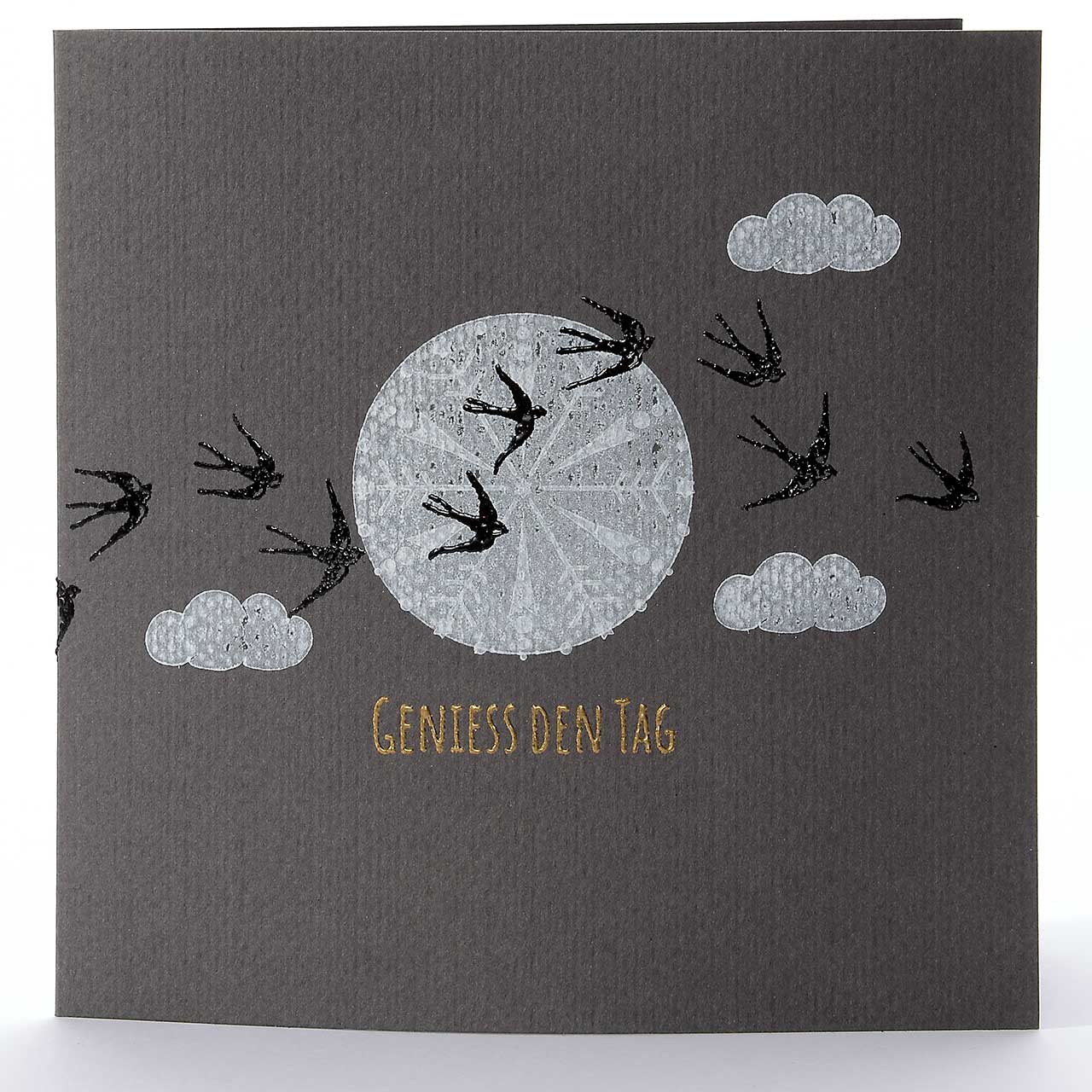 fünf Schwalben und noch kein Sommer