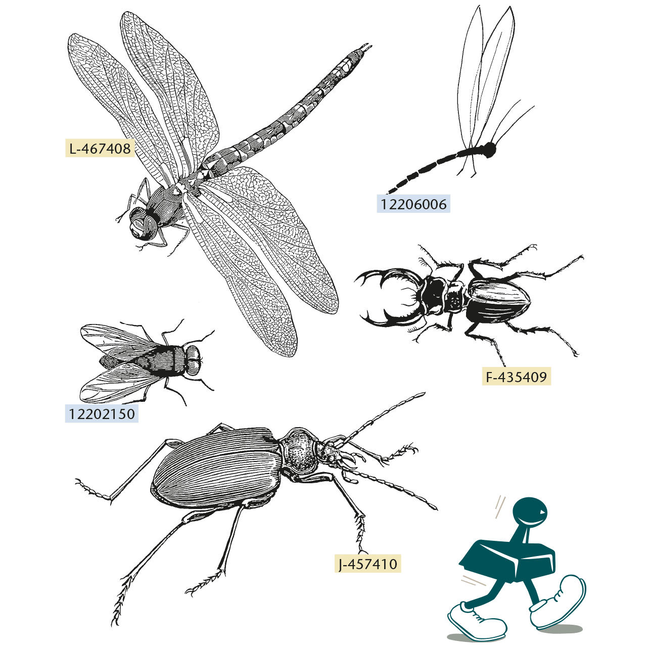 Gummitüte: Insekten I