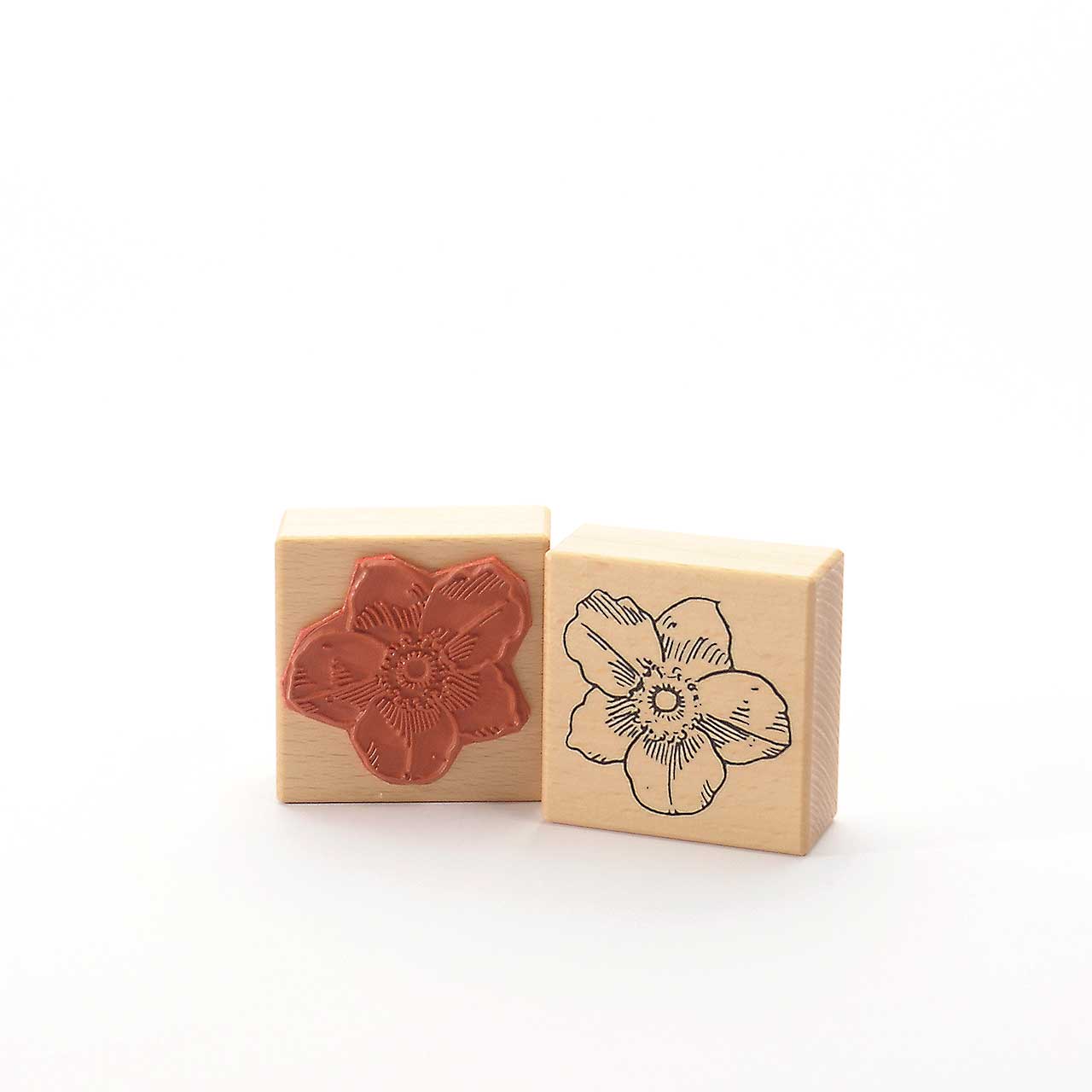 Motivstempel Titel: Tina - höst anemon - Herbst Annemone Motivstempel Titel: Tina - höst anemon - Herbst Annemone