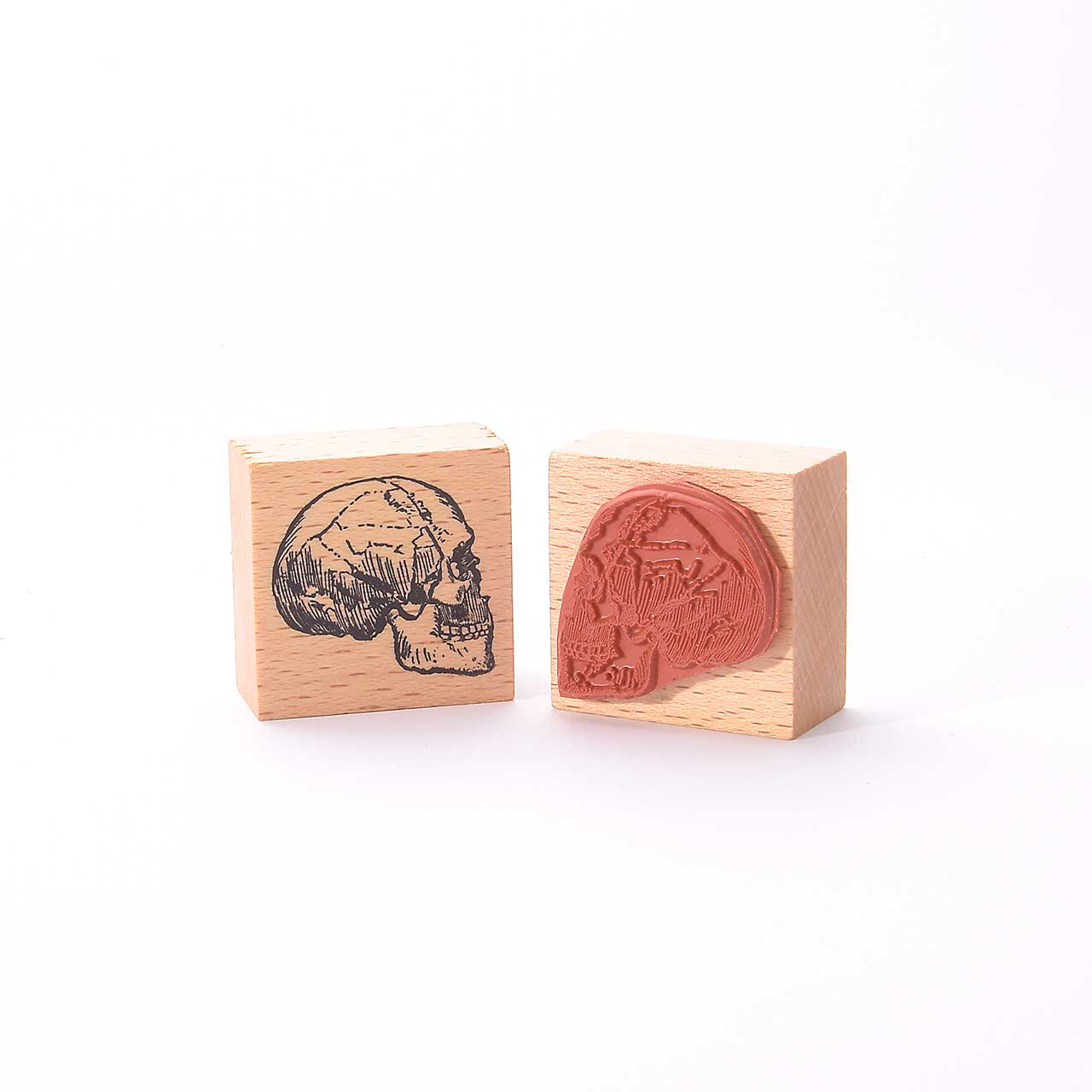 Motivstempel Titel: Schädel seitlich Motivstempel Titel: Schädel seitlich