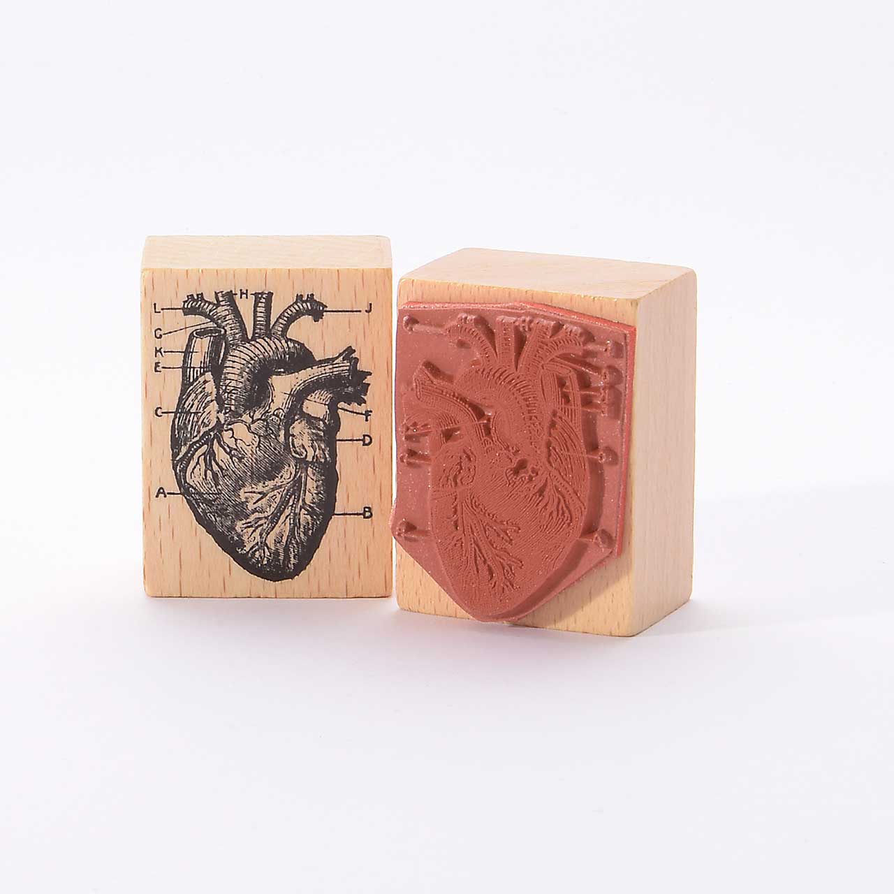 Motivstempel Titel: Herz (anatomisch) Motivstempel Titel: Herz (anatomisch)