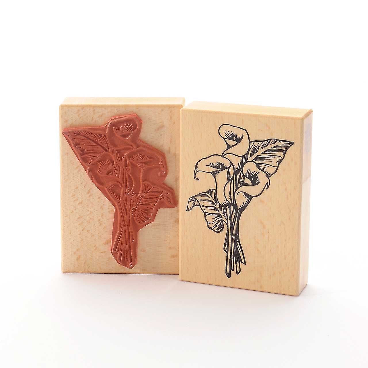 Motivstempel Titel: Drachenwurz (Calla palustris) Motivstempel Titel: Drachenwurz (Calla palustris)