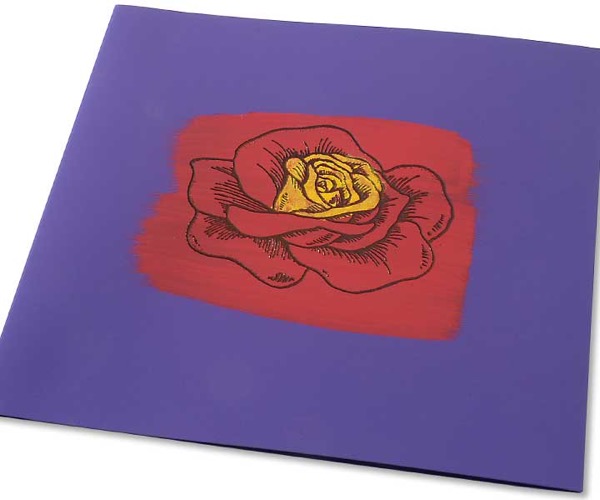 Eine Rose