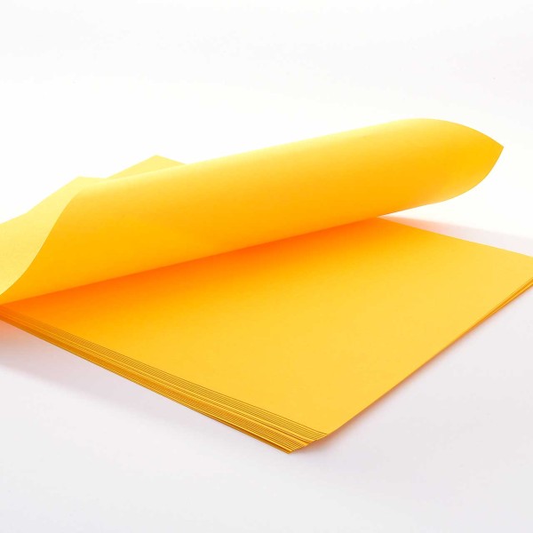 Amadeo · Edle Papiere · Mango