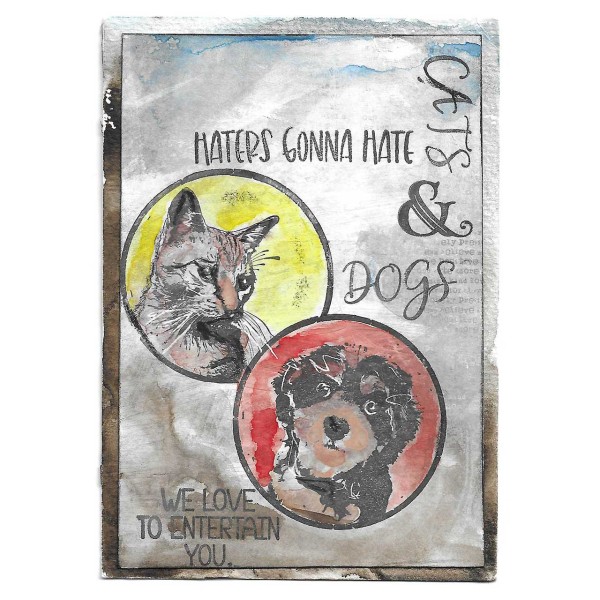 Hund & Katze gestaltet von Marion aus Münster