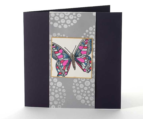 Schmetterling