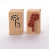Motivstempel Titel: Sterndolde